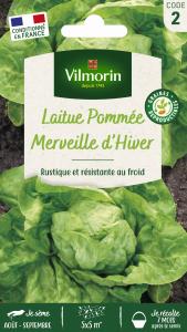 Laitue d'Hiver Merveille d'Hiver